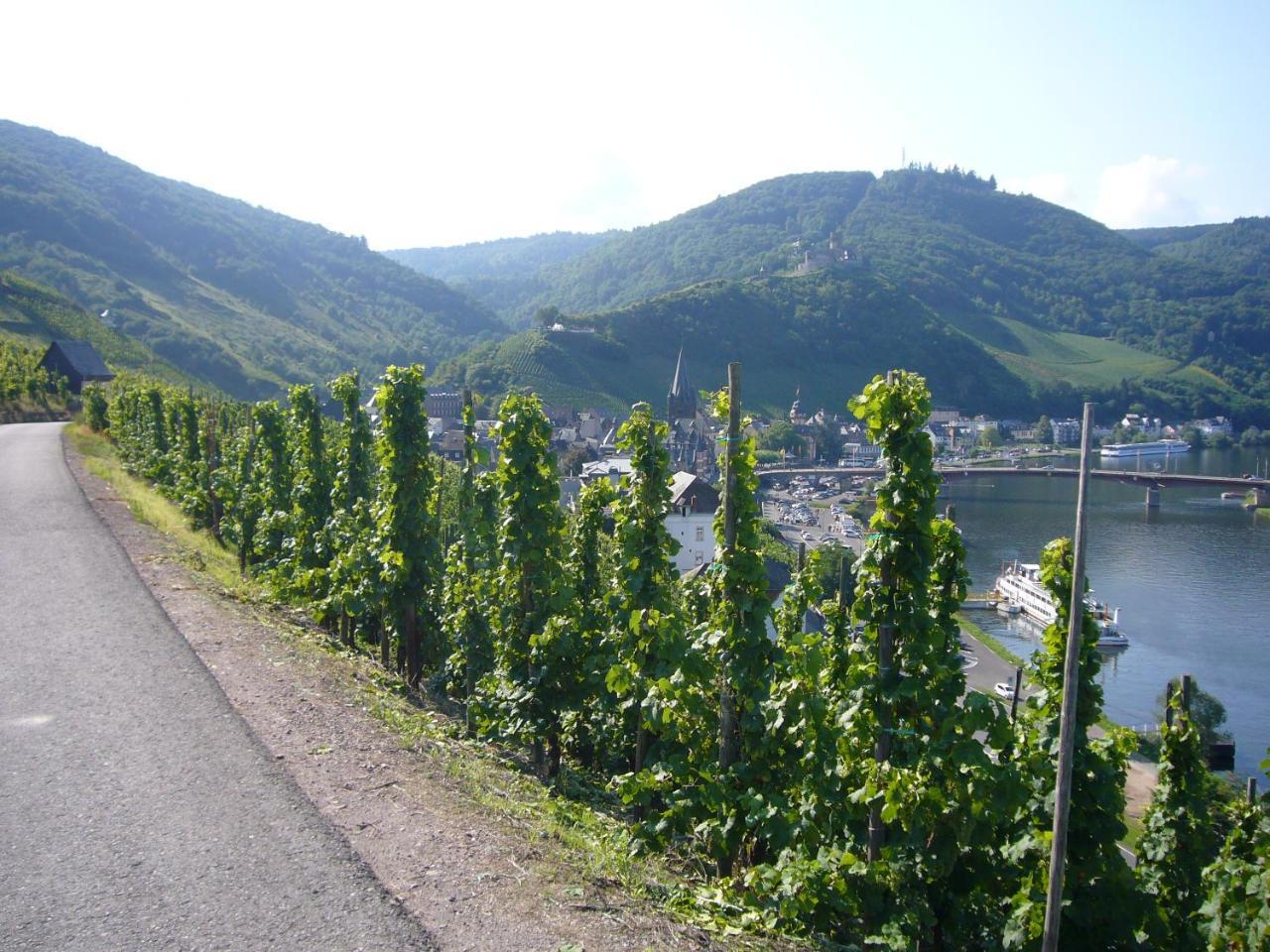 Christiana'S Wein & Art Hotel Bernkastel-Kues Exterior foto